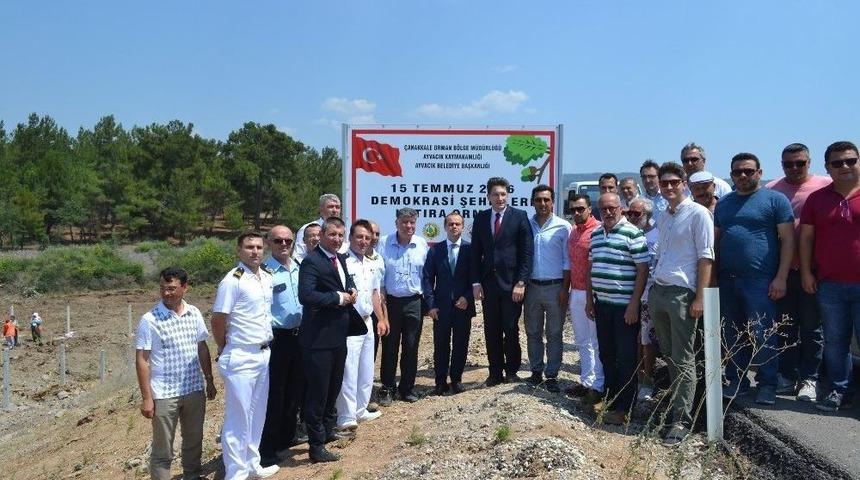 Ayvacık&rsquo;ta 249 Şehit İ&ccedil;in 249 Fidan