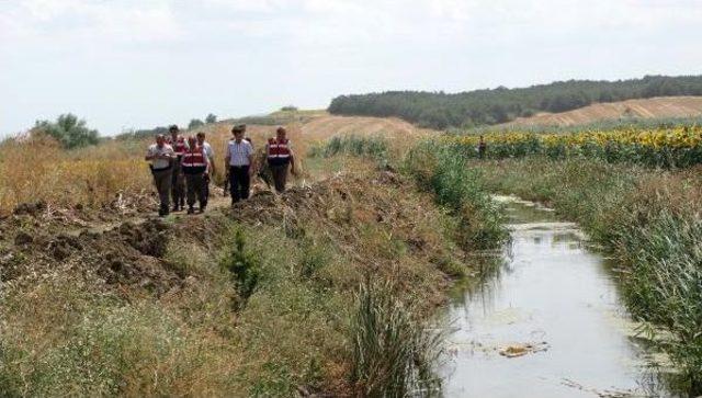 Sulama Kanalına Atılan Poşetten Köpek Leşleri Çıktı