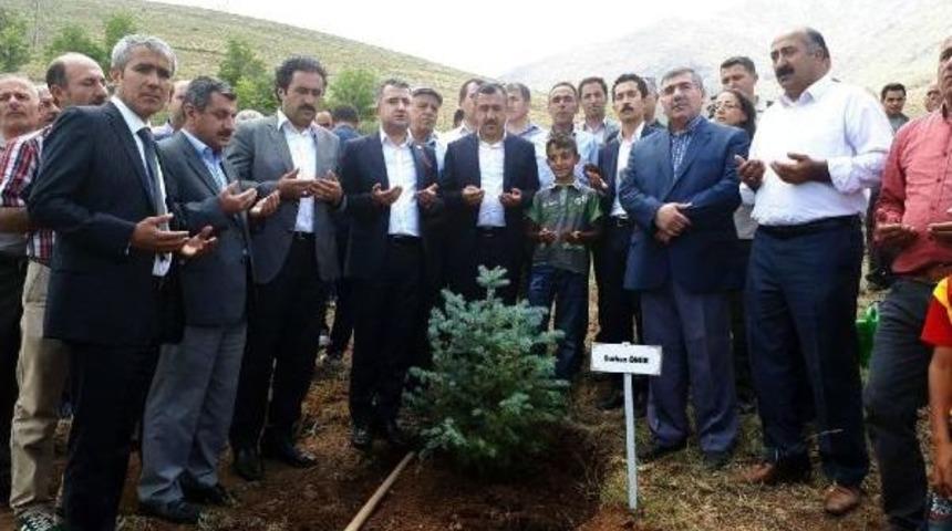 Gevaş'ta 249 Şehit Anısına 249 Fidan Dikildi