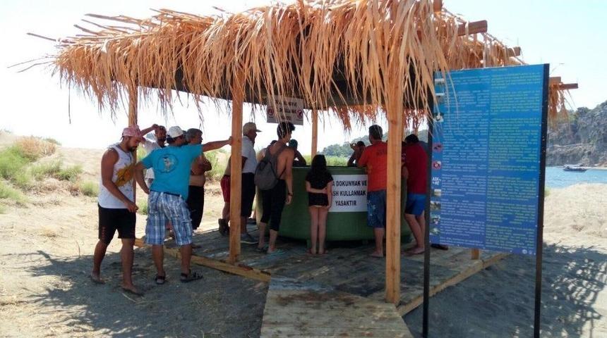 Dekamer M&uuml;d&uuml;r&uuml; Kaska; &ldquo;deniz Kaplumbağalarını Elle Beslemeyin&rdquo;