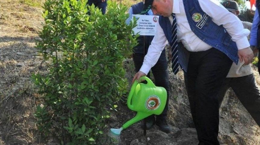 Osmaniye&rsquo;de &ldquo;15 Temmuz Demokrasi Şehitleri Hatıra Ormanı&rdquo; Oluşturuldu