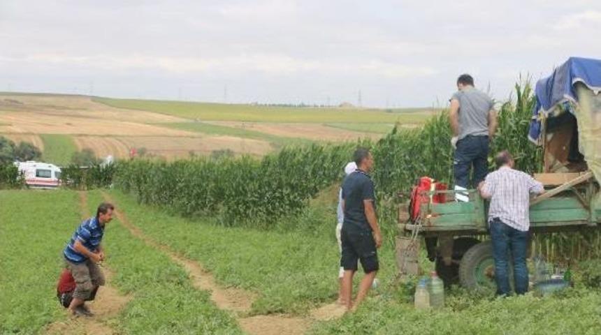Bek&ccedil;i, Karpuz Tarlasında &Ouml;l&uuml; Bulundu