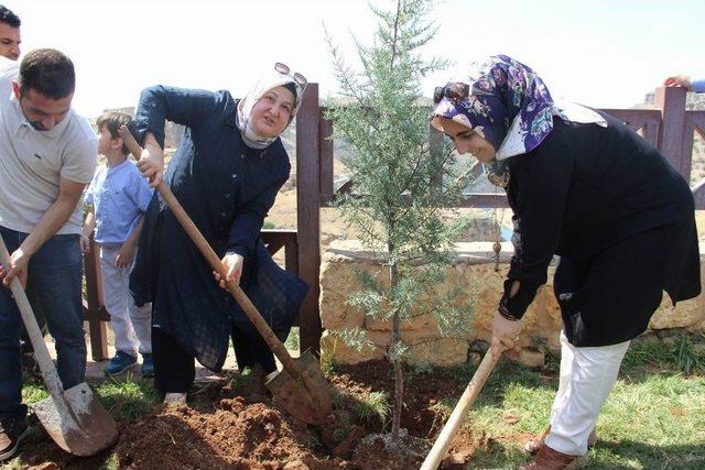 Diyarbakır’da Şehitler İçin Mevlit Okunup, Fidan Dikildi