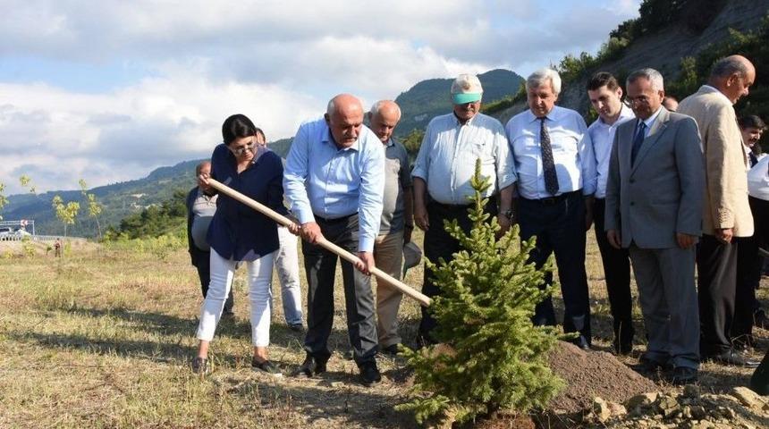 Şehit &Ouml;mercan A&ccedil;ıkg&ouml;z Hatıra Ormanı A&ccedil;ıldı
