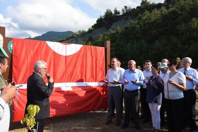 Şehit Ömercan Açıkgöz Hatıra Ormanı Açıldı 2