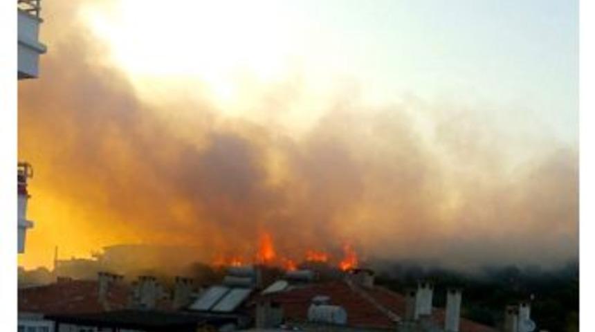 Ayvalık&rsquo;ta Makilik Alanda Yangın