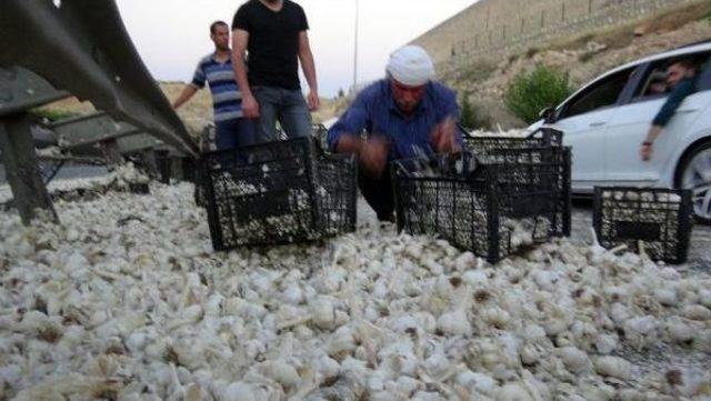 Bariyerlere &Ccedil;arpan Tır daki 23 Ton Sarımsak Yola Sa&ccedil;ıldı 1
