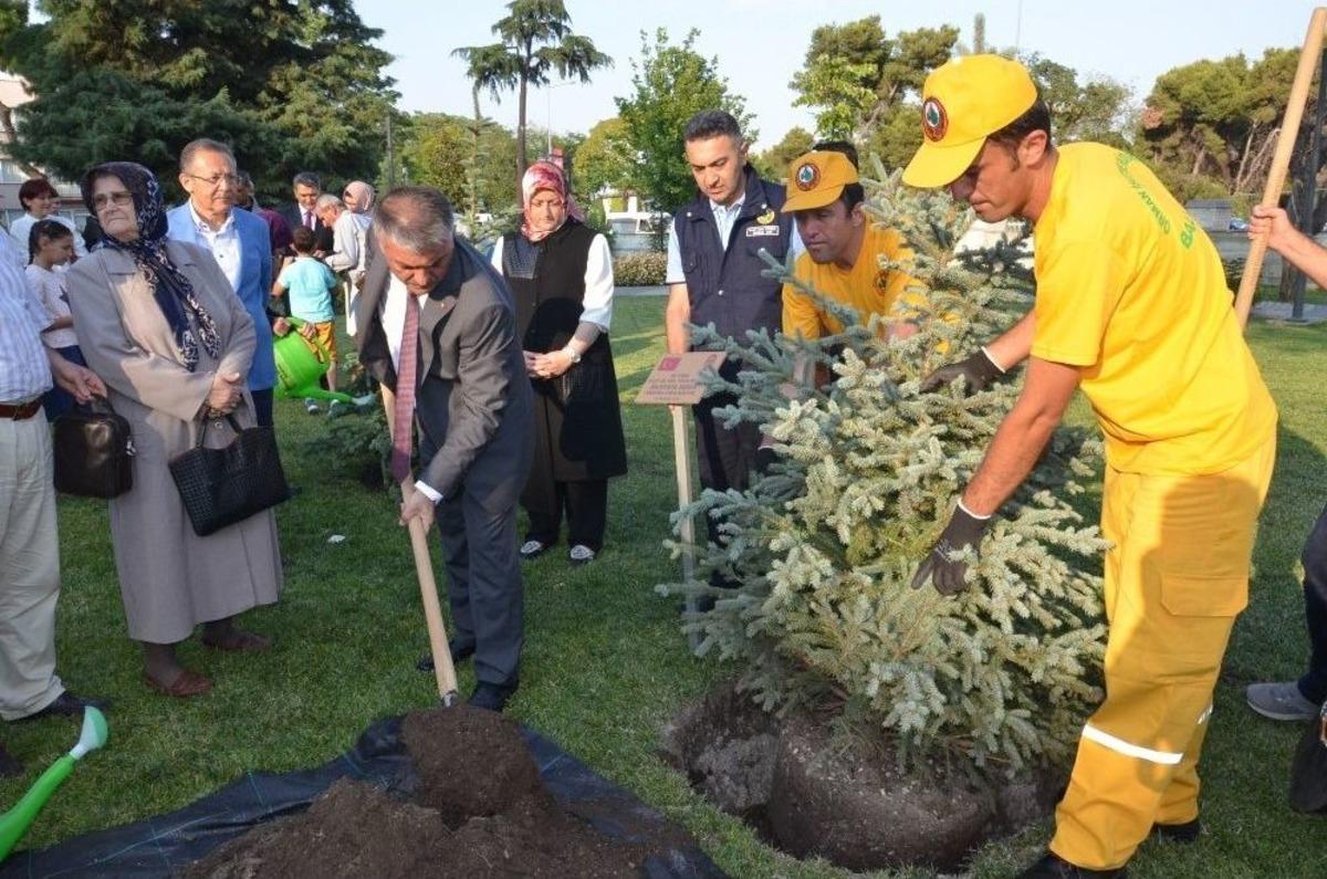 Balıkesir&rsquo;de 15 Temmuz Şehitleri Anısına Fidan Dikildi