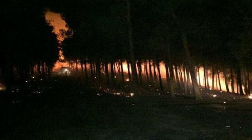 Kırıkhan'da Orman Yangını