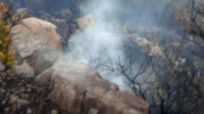 Ayvalık'ta Makilik Alan Yandı