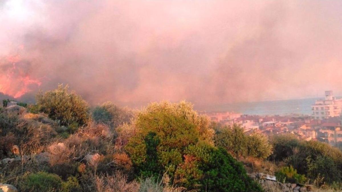 Ayvalık Orman Yangınında 3 Kişi G&ouml;zaltına Alındı