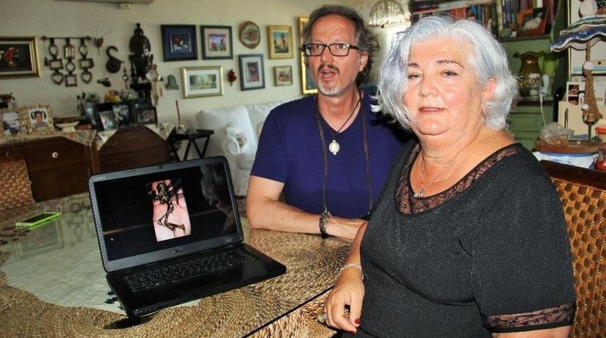 Uzay Bilimini Karıştıran Fotoğraftaki Varlık Maket &Ccedil;ıktı