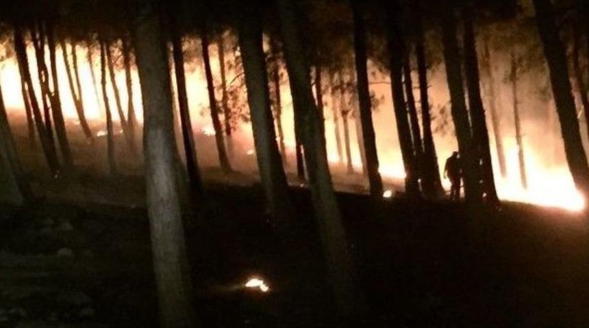 Kırıkhan&rsquo;da Orman Yangını
