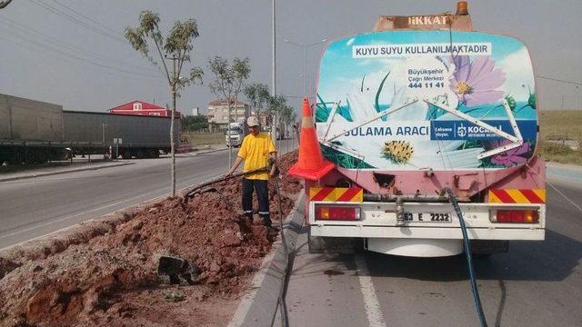 Kocaeli&rsquo;de Ağa&ccedil;lara Can Suyu Veriliyor 1