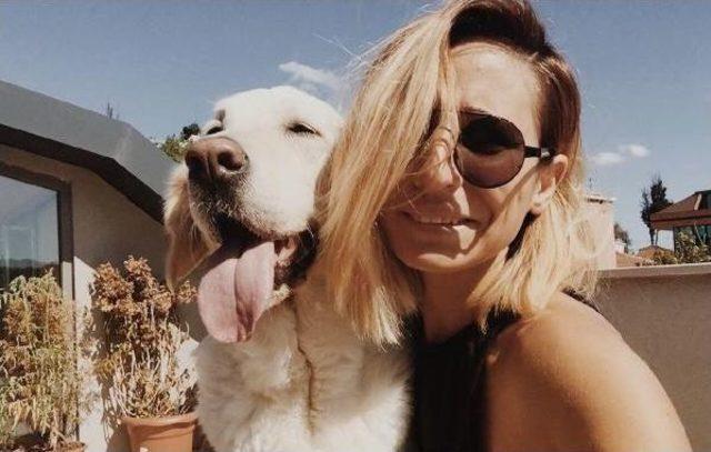 Deniz Otobüsünden Düşen 3 Aylık Beylis Adlı Köpek Telef Oldu