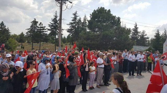 15 Temmuz Demokrasi Ve Milli Birlik G&uuml;n&uuml; Anma Y&uuml;r&uuml;y&uuml;ş&uuml; D&uuml;zenlendi 1