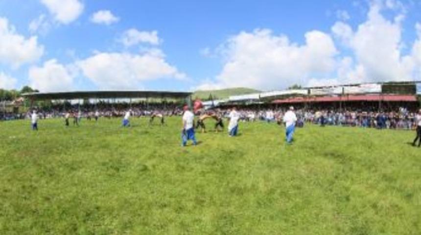 Perşembe Yaylası Festivali Başlıyor