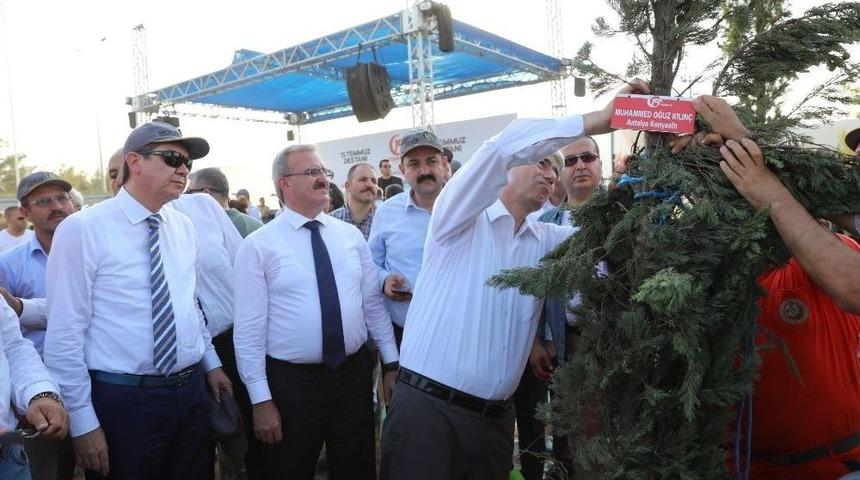 15 Temmuz Şehitlerinin İsmi Hatıra Ormanıyla Yaşatılıyor