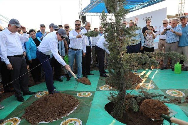 15 Temmuz Şehitlerinin İsmi Hatıra Ormanıyla Yaşatılıyor 2