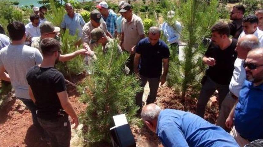 Tunceli'de 15 Temmuz Şehitleri Anısına Fidan Dikildi