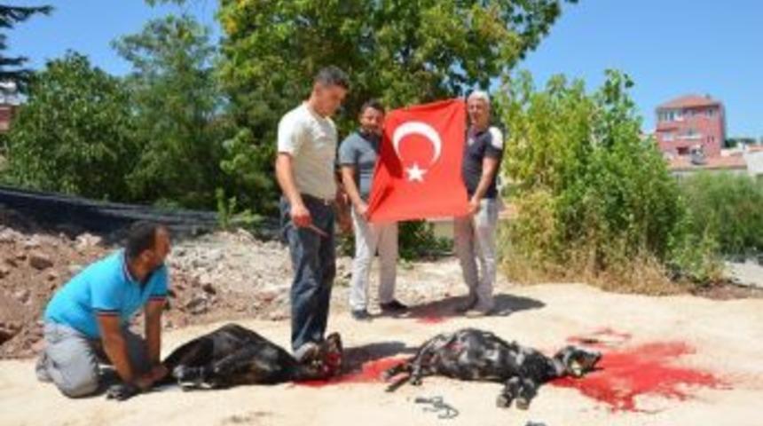 15 Temmuz Şehitleri İ&ccedil;in Kurban Kesildi