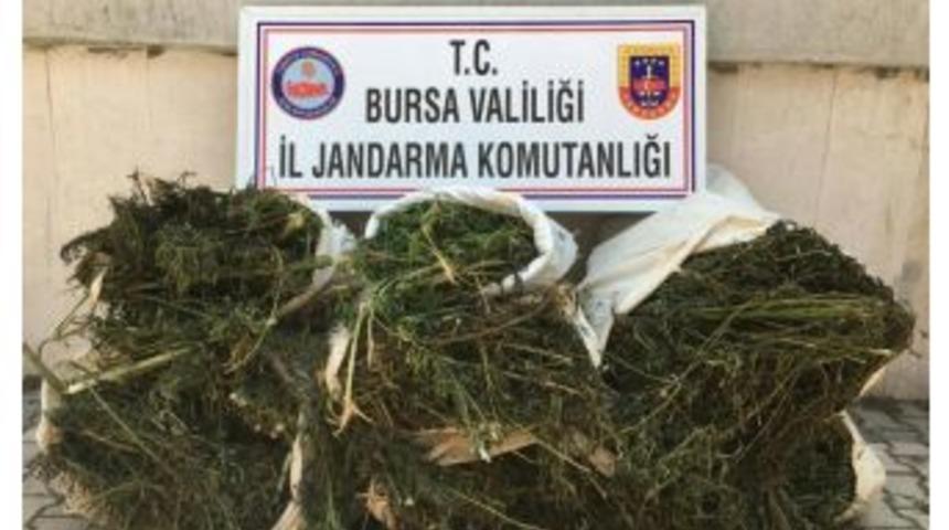 Piyasa Değeri 450 Bin Liralık Uyuşturucu Ele Ge&ccedil;irildi