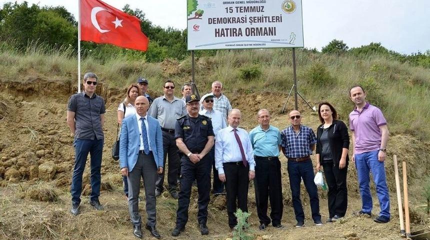 249 Şehit İ&ccedil;in 249 Fidan Dikildi