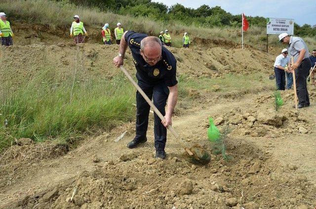 249 Şehit İ&ccedil;in 249 Fidan Dikildi 2