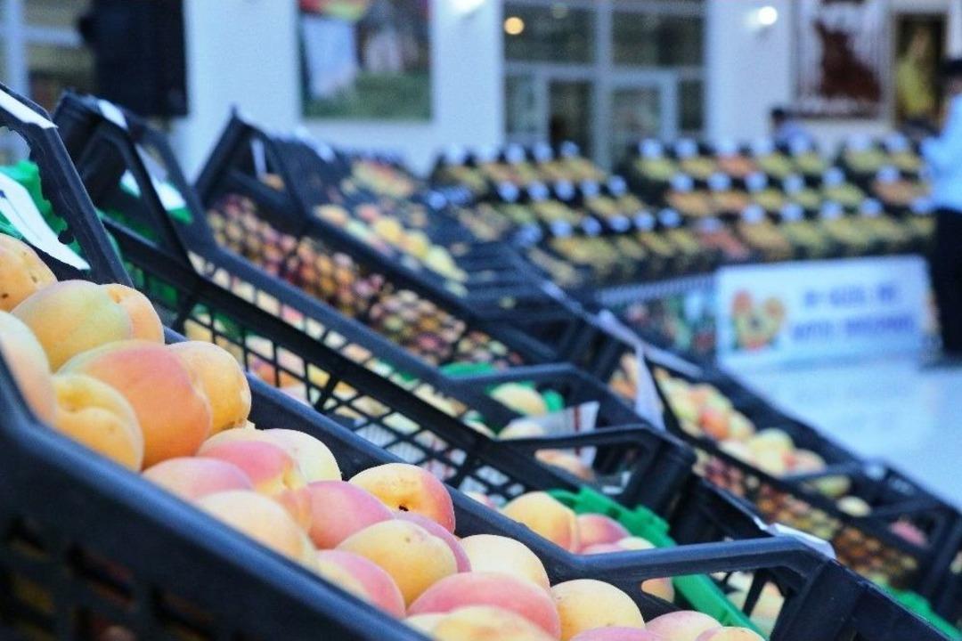 Malatya&rsquo;da En İyi Yaş Kayısılar Se&ccedil;ildi