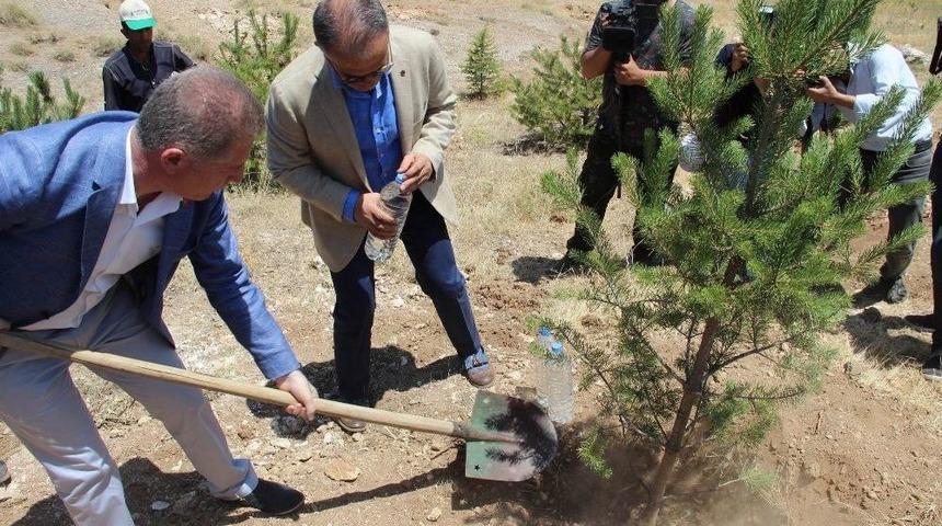 15 Temmuz Şehidinin Adı Hatıra Ormanında Yaşatılacak