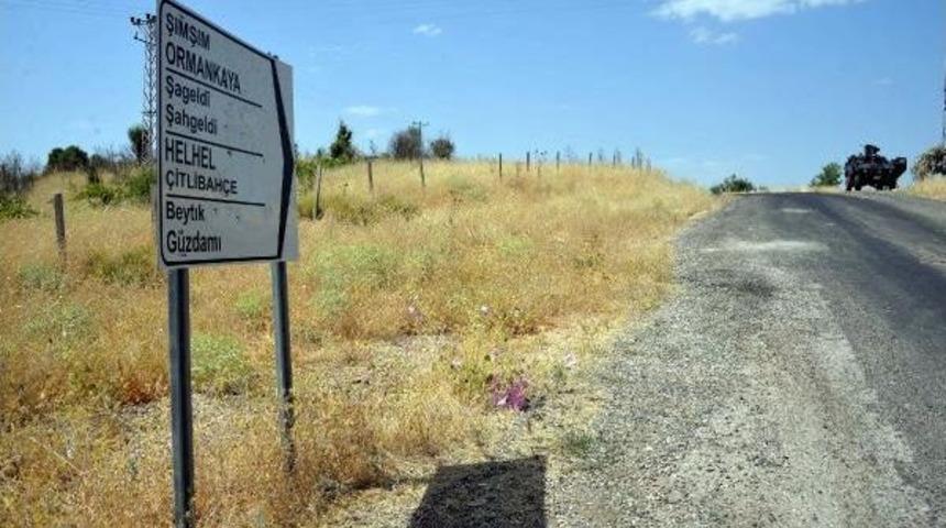 Elleri Arkadan Bağlanan Baba Ve Oğluna Infaz (2)- Yeniden