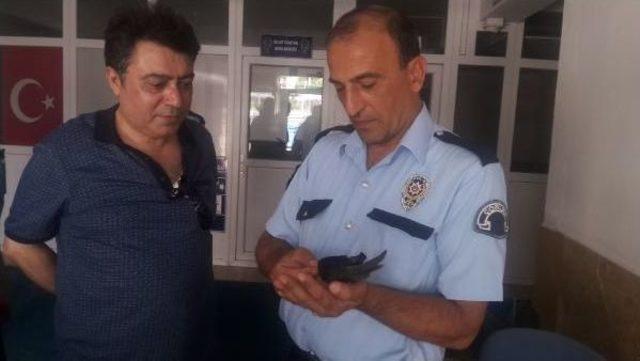 Uçamayan Ebabil Kuşunu Polise Teslim Etti