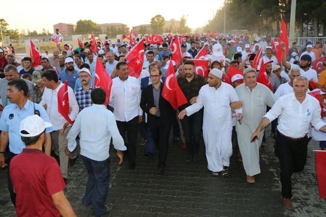 Harran’da Binlerce Kişi Milli Birlik Yürüyüşüne Katıldı