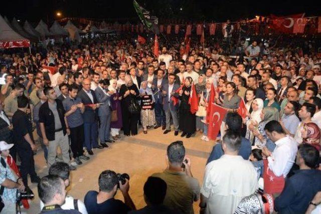 Diyarbakır'da Milli Birlik Yürüyüşü (2)