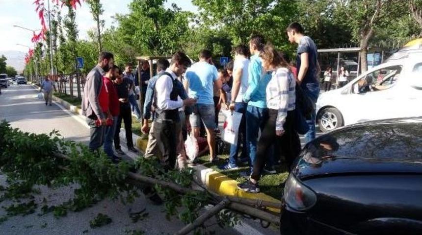 &Ccedil;arpmamak I&ccedil;in Ref&uuml;je &Ccedil;ıktı, Kırdığı Ağa&ccedil; Yayayı Yaraladı