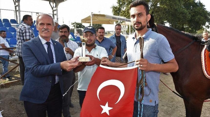 Bursa&rsquo;da Rahvan Atları 15 Temmuz Anısına Yarıştı
