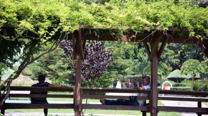 Adana Sokakları Boşaldı