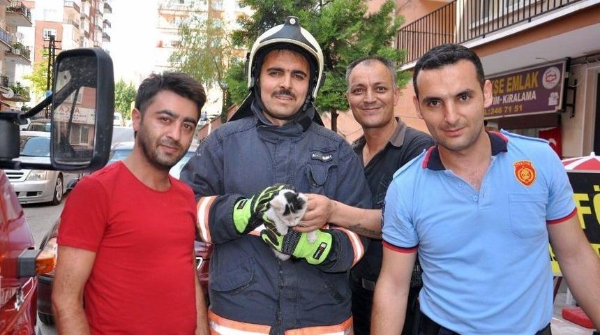 Yavru Kedi İtfaiye Ekiplerince Kurtarıldı