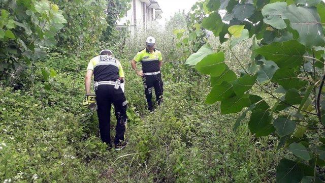 Sakarya’da Cinayet 2