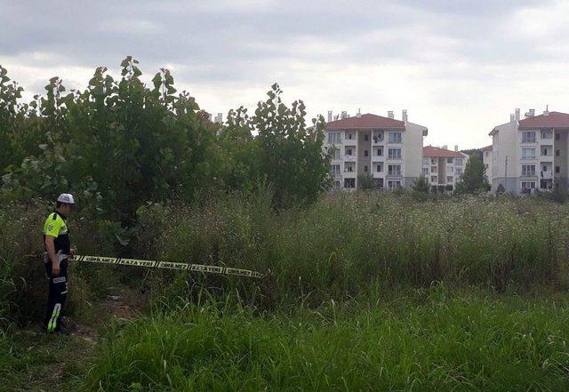 Sakarya’da Cinayet 3