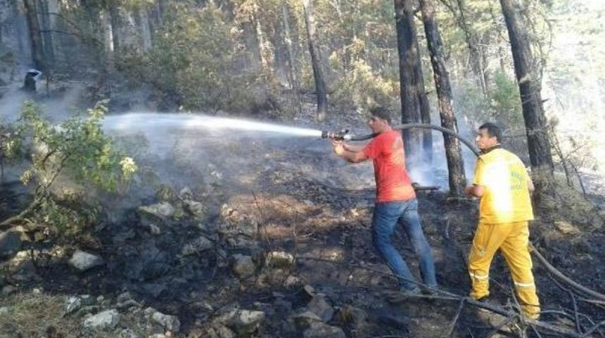 Bursa'nın Orhaneli Il&ccedil;esinde 5 Hektar Ormanlık Alan Yandı