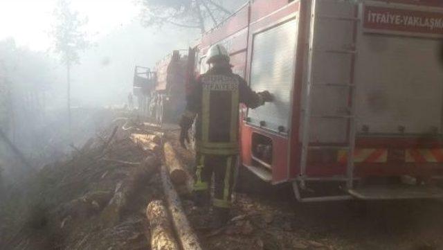 Bursa nın Orhaneli Il&ccedil;esinde 5 Hektar Ormanlık Alan Yandı 1