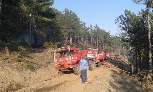 Bursa nın Orhaneli Il&ccedil;esinde 5 Hektar Ormanlık Alan Yandı 3