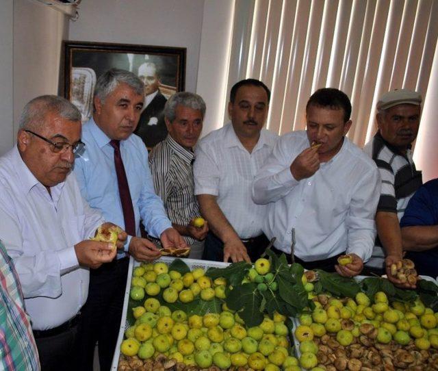 Tariş İncir Birliği&rsquo;nden &Ouml;ğrencileri Ve &Uuml;reticiyi Sevindiren Hamle 1