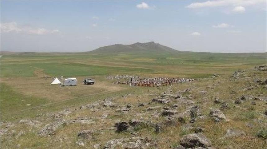 Doğu'da Kuraklık En &Ccedil;ok Arıcıları Vurdu