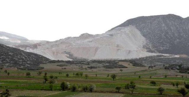 Doğaya Verdikleri Zararı Lavanta Ile Telafi Ettiler