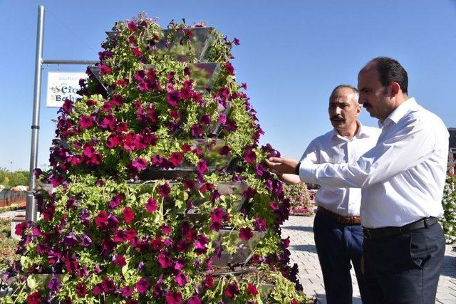 T&uuml;rkiye&rsquo;nin En Renkli Bah&ccedil;esi Sel&ccedil;uklu&rsquo;da 2