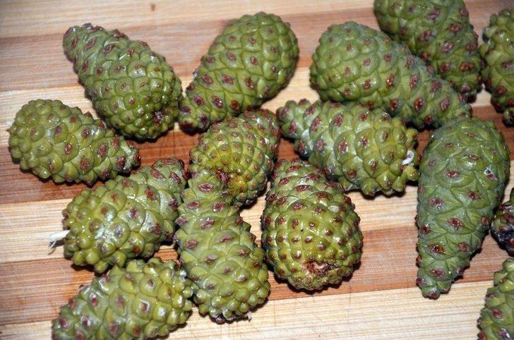 Ev Hanımları Cevizden Sonra Organik Çam Kozalağı Reçeli Üretimine Başladı G1