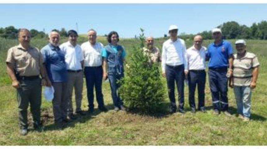 Şehitler İ&ccedil;in Fidan Dikildi