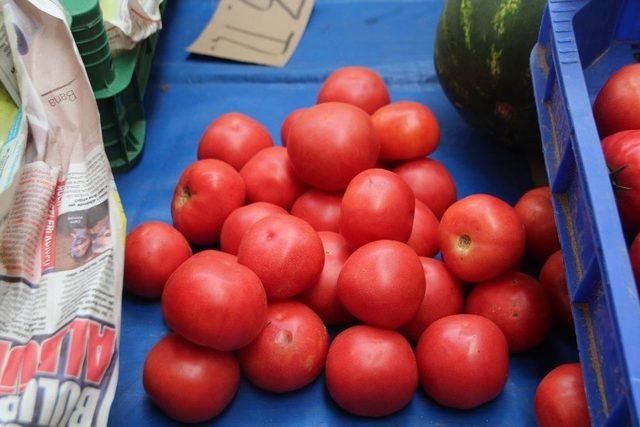 Bilecik’in Yerli Domatesi Tezgahlarda Yerini Aldı